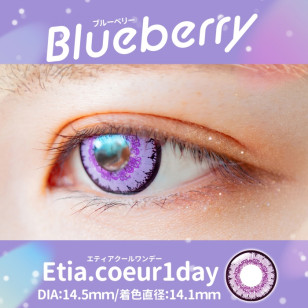 Etia Coeur 1day エティアプリズムワンデー Blueberry ブルーベリー