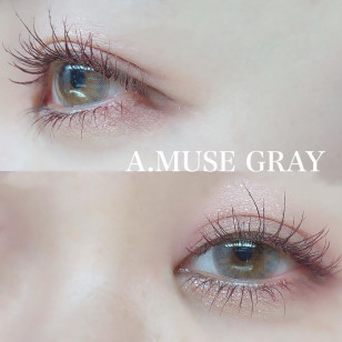 Olola Monthly A.Muse Gray 아뮤즈 그레이