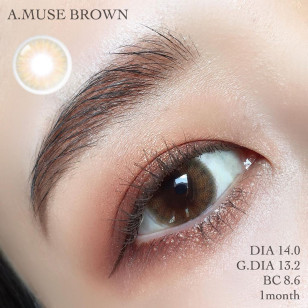 Olola Monthly A.Muse Brown 아뮤즈 브라운