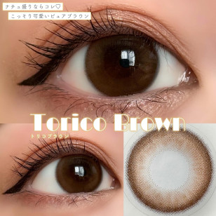TORICONINARU Torico brown トリコニナル トリコブラウン