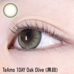 TeAmo 1Day Oak Olive ティアモ ワンデー オークオリーブ