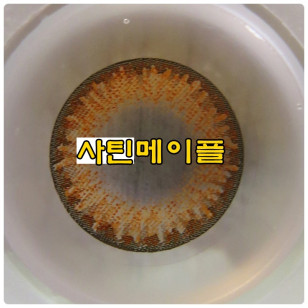韓版 Alcon Freshlook Satin Maple 알콘 후레쉬룩 사틴메이플