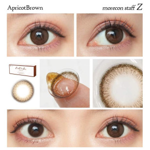 (EN2005)EverColor 1day Natural Moisture &UV Apricot Brown 20片裝 エバーカラーワンデーナチュラル アプリコットブラウン