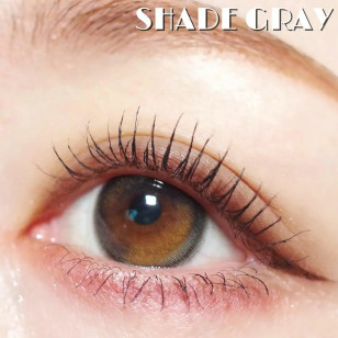 【I-SHA】Oriana Edge Plus 1day SHADE Gray 14.5mm 【アイシャ】オリアナエッジプラスワンデーグレー