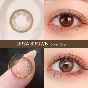 【I-SHA】Polaris URSA Brown【アイシャレンズ】ポラリス 1年用 ブラウン 