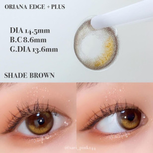 【I-SHA】Oriana Edge Plus Yearly SHADE BROWN 14.5mm 【アイシャレンズ 】オリアナエッジプラスシェードブラウン
