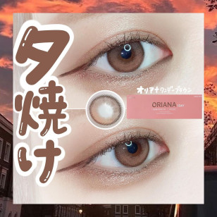 【I-SHA】Oriana 1day SHADE Brown 14.2mm【アイシャ】オリアナ ワンデーブラウン
