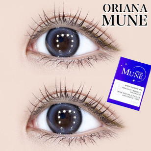 【I-SHA】Oriana Mune Yearly Gray 【アイシャレンズ 】オリアナミューングレー