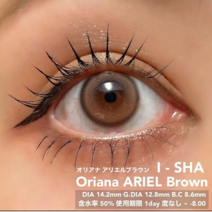 【I-SHA】Oriana Ariel 1day Brown 【アイシャレンズ 】オリアナアリエルブラウン ワンデー