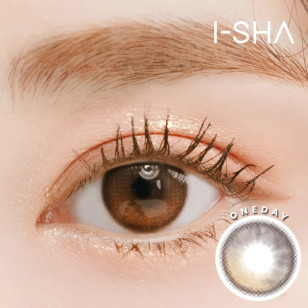 【I-SHA】Oriana 1day SHADE Brown 14.2mm【アイシャ】オリアナ ワンデーブラウン