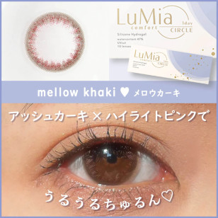 [DIA 14.1 47%]LuMia Comfort 1day CIRCLE Mellow Khaki ルミア コンフォートワンデーサークル メロウカーキ
