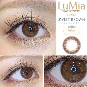 LuMia 2 Week Sweet Brown ルミア 2ウィーク スウィートブラウン