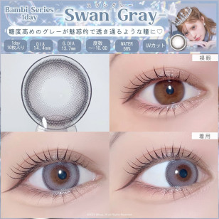 Angelcolor Bambi Series 1day Swan Gray エンジェルカラーバンビワンデー スワングレー