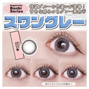Angelcolor Bambi Series 1day Swan Gray エンジェルカラーバンビワンデー スワングレー
