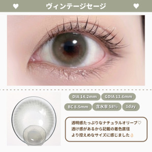 AngelColor Vintage 1day Sage エンジェルカラーバンビヴィンテージワンデー ヴィンテージセージ