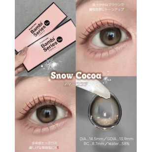 Angelcolor Bambi Series 1day Snow Cocoa エンジェルカラー バンビワンデー スノーココア