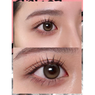 Angelcolor Bambi Series 1day Snow Cocoa エンジェルカラー バンビワンデー スノーココア