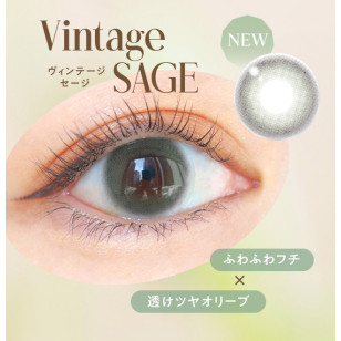 AngelColor Vintage 1day Sage エンジェルカラーバンビヴィンテージワンデー ヴィンテージセージ