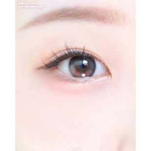 [1Month]Ann365 Zero Turn Anndora Choco 앤365 제로턴 안도라 초코