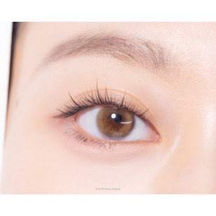 [1Month]Ann365 Ruddy Brown 앤365 러디 브라운