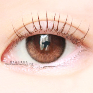 [1Month]Ann365 Shimmer Coral Brown 앤365 쉬머 코랄브라운