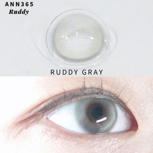 [1Month]Ann365 Ruddy Gray 앤365 러디 그레이