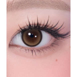 [1Day]Hapa Kristin Cat-titude Kristin Tabby Brown