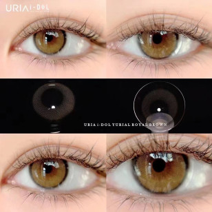 [1Year]I-DOL URIA Yurial Royal Brown