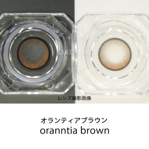 LARME Silicone Hydrogel 1 Day W MOIST Axis Oranntia Brown ラルムシリコンハイドロゲルダブルモイストUV オランティアブラウン