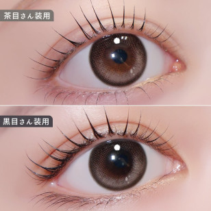 LARME Silicone Hydrogel 1 Day W MOIST Axis Lock Cachemire ラルムシリコンハイドロゲルダブルモイストUV カシミアブラウン