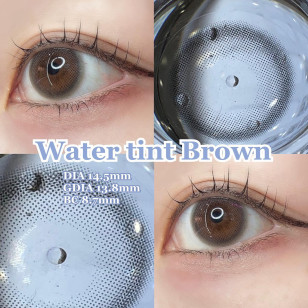 LARME Silicone Hydrogel 1 Day W MOIST Water Tint Brown ラルムシリコンハイドロゲルダブルモイストUV ウォーターティントブラウン