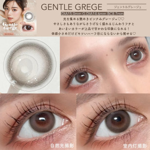 LARME Silicone Hydrogel 1 Day W MOIST Gentle Grege ラルムシリコンハイドロゲルダブルモイストUV ジェントルグレージュ