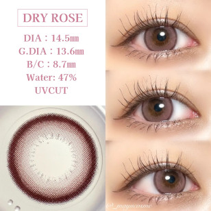 LILMOON 1day Silicone Dry Rose リルムーンシリコーンワンデー ドライローズ