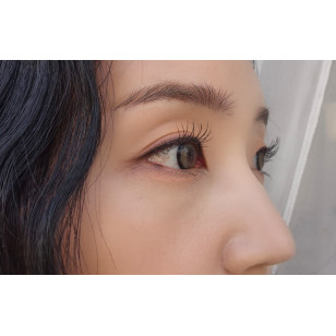 [1Month]LensVery Silhouette3 Beige Brown 실루엣3 베이지 브라운
