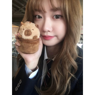[1Month]LensVery Silhouette3 Beige Brown 실루엣3 베이지 브라운