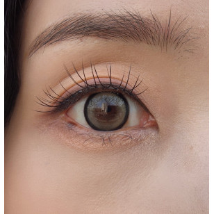 [1Month]LensVery Silhouette3 Beige Brown 실루엣3 베이지 브라운
