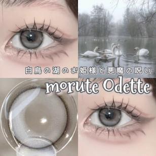[1Day and 1Month]igirl ONE PICK Gray Whisper バランス グレーウィスパー