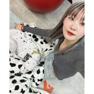 [1Day and 1Month]igirl ONE PICK Gray Whisper バランス グレーウィスパー
