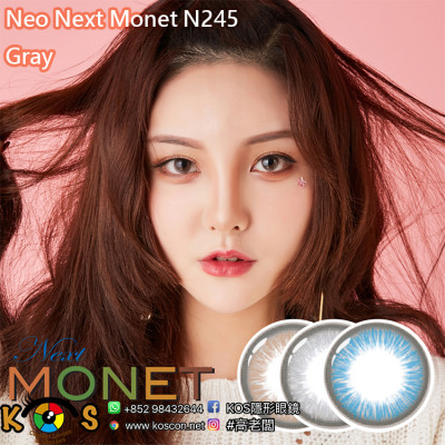 Neo Next Monet N245 네오비젼 모네 그레이