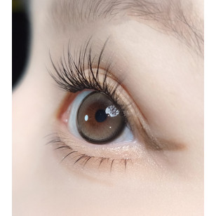 [1Month]Olola Mousse Taupe Beige 무스 토프베이지