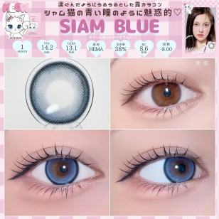 [1Month]Olola IDIFF Meow Siam Blue 미유 샴 블루
