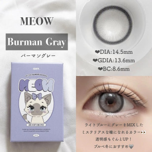 [1Month]Olola IDIFF Meow Burman Gray 미유 버만 그레이