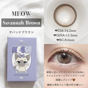 [1Day and 1Month]Olola IDIFF Meow Savannah Brown 미유 사바나 브라운