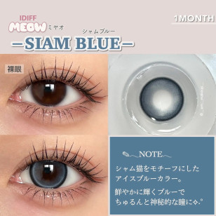 [1Month]Olola IDIFF Meow Siam Blue 미유 샴 블루