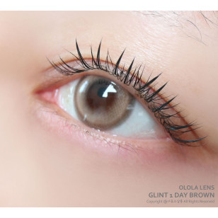 Olola 1day Glint Brown 글린트 브라운