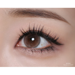 [1Month]Olola Ryu's Coco Brown 류스 코코 브라운