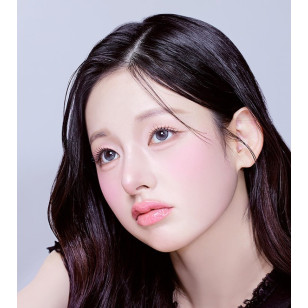 [1Month]Olola Meow Scottish Gray 미유 스코티쉬 그레이