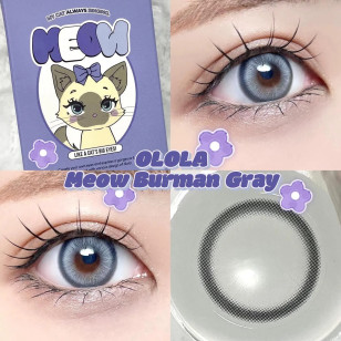 [1Month]Olola IDIFF Meow Burman Gray 미유 버만 그레이