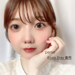 Perse Koala Gray パース コアラグレー