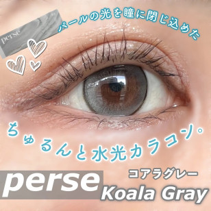 Perse Koala Gray パース コアラグレー